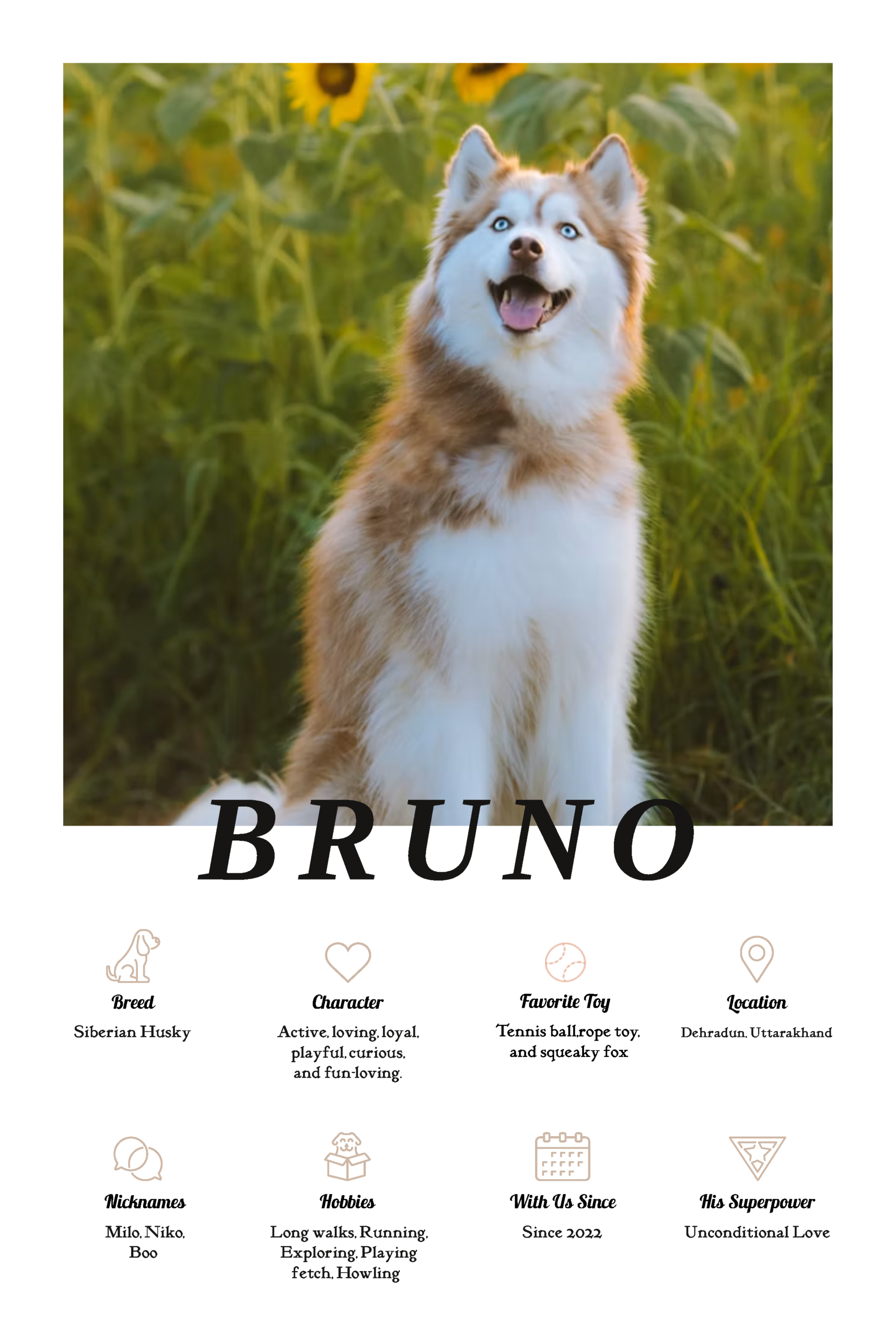 Furever Friend