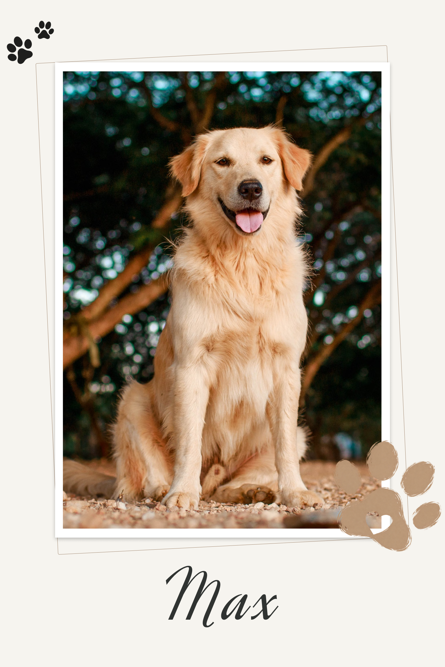 Pawsome Pal