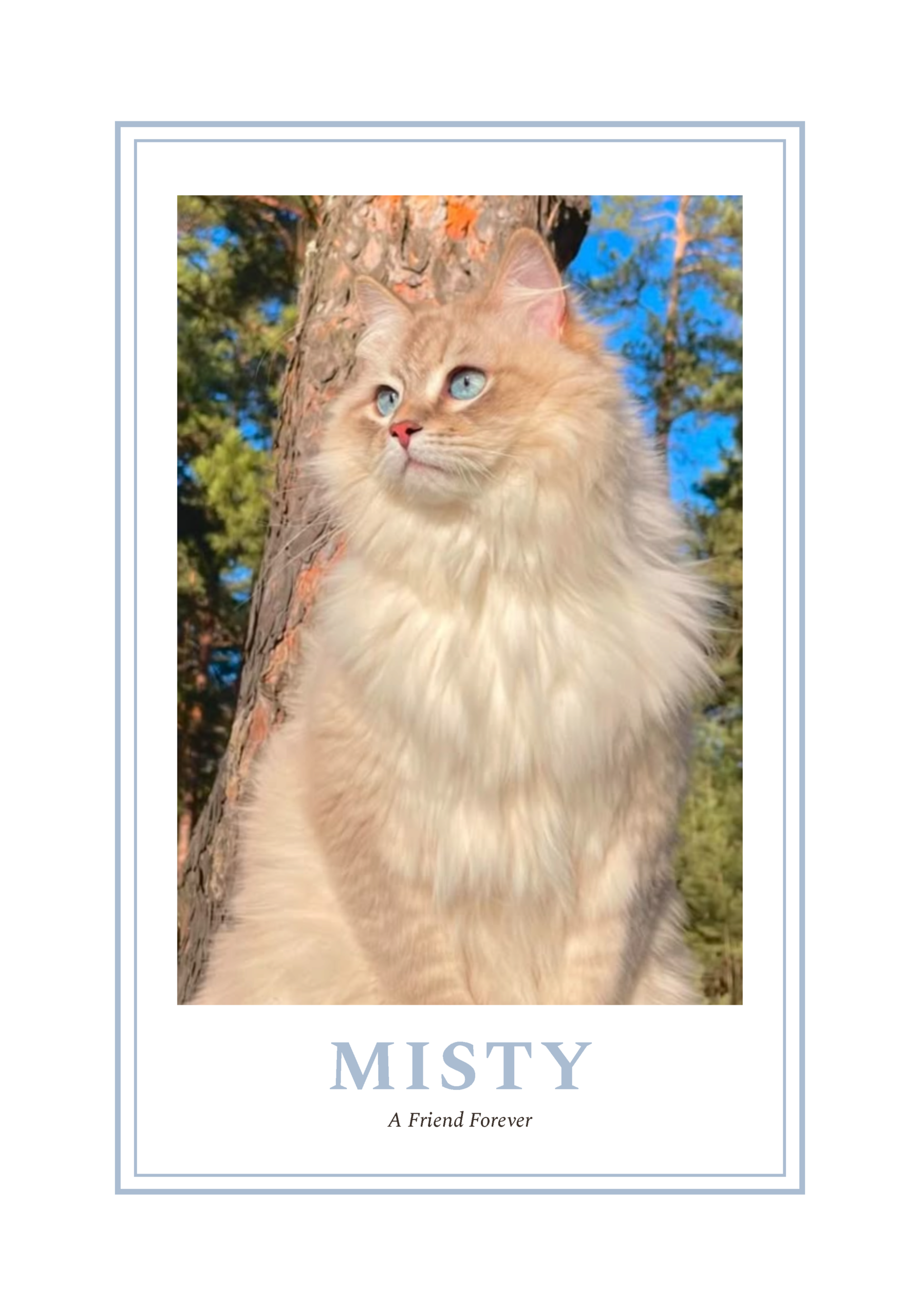 Purr-sonality