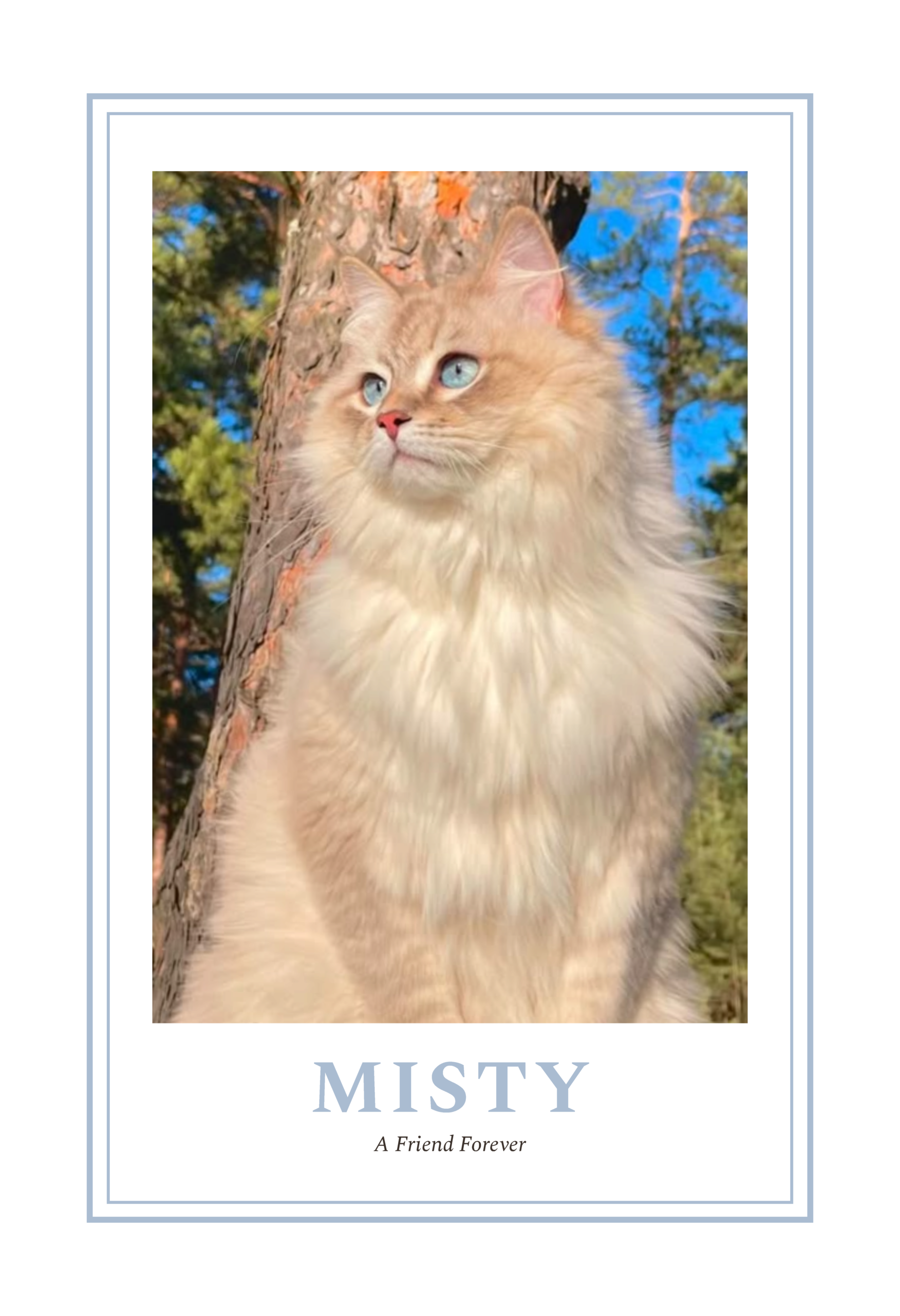 Purr-sonality
