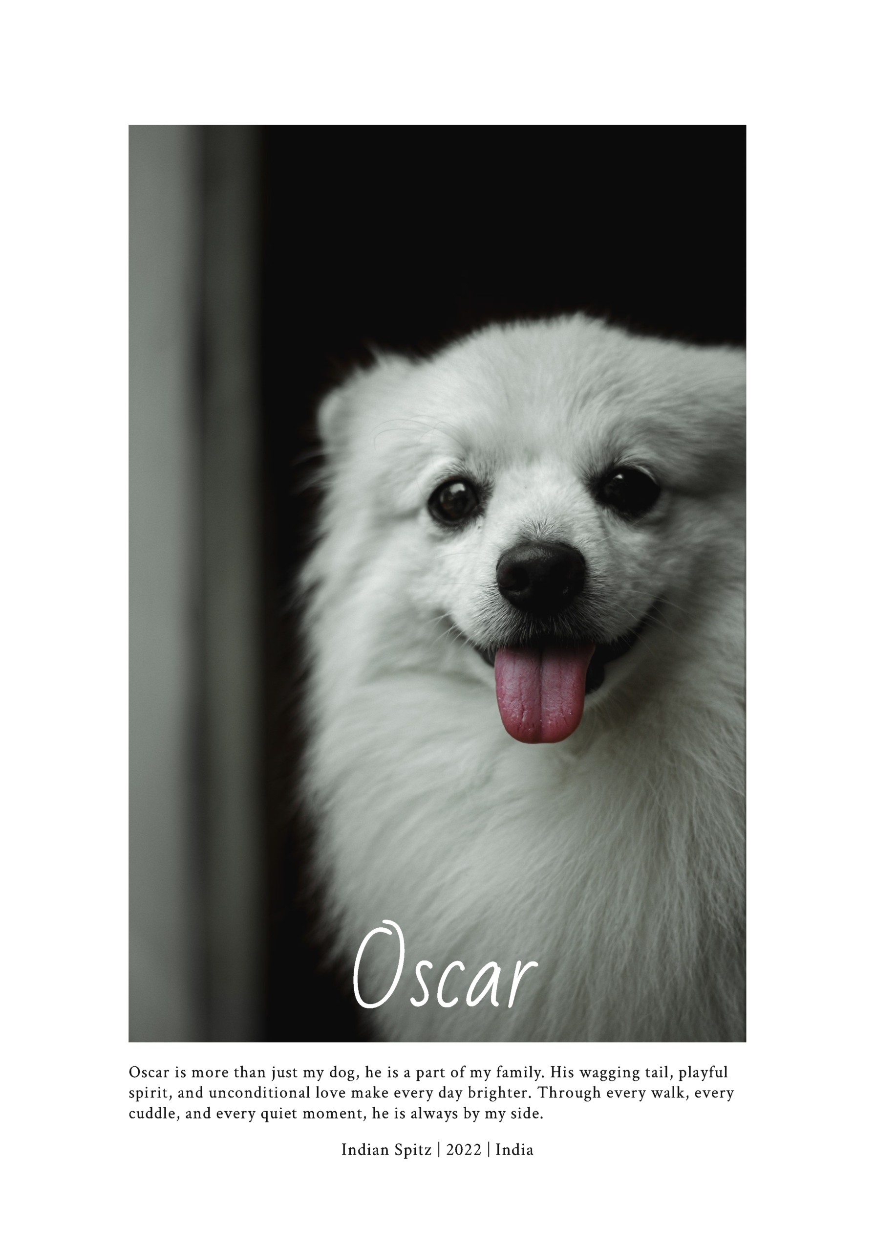 Good Boy