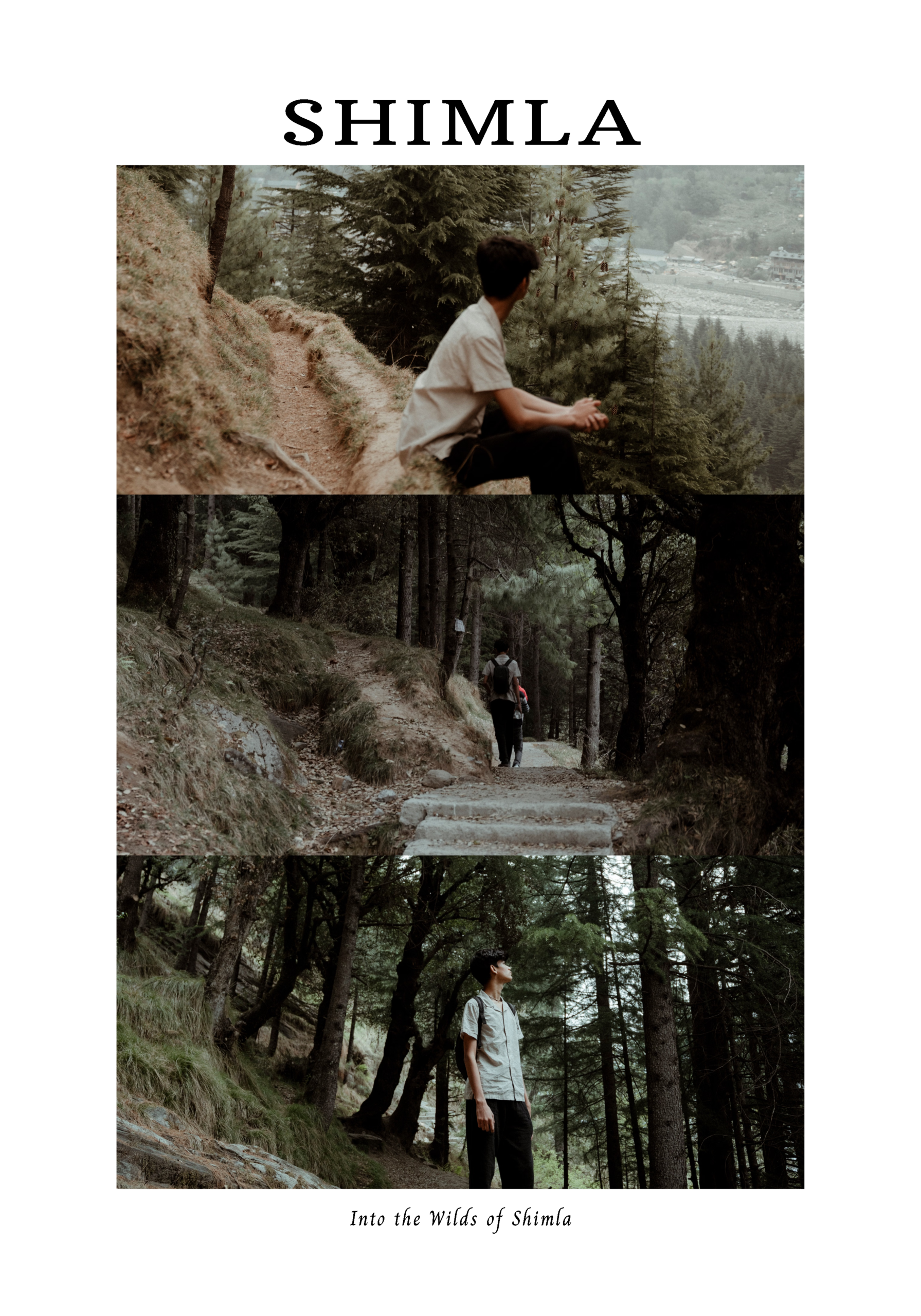 Trail Tales