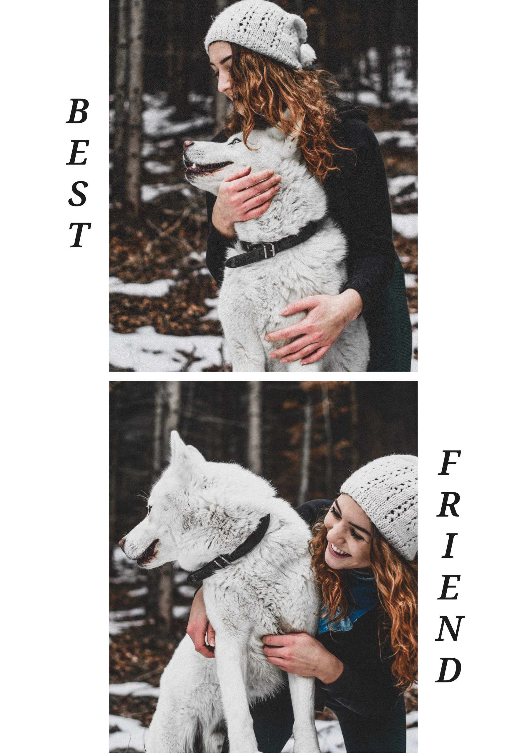 My Furry Best Friend